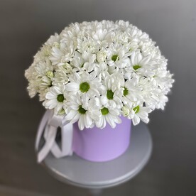 Хризантема ромашки в шляпной коробочке