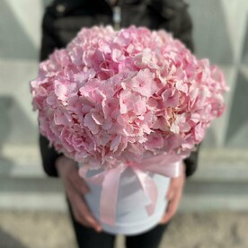 Розовая Гортензия в коробочке