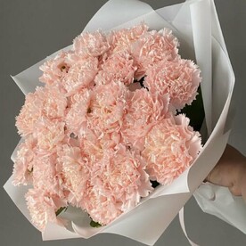 Букет Диантус (Гвоздика)