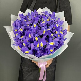 Букет 25 ирис в авторской упаковке.