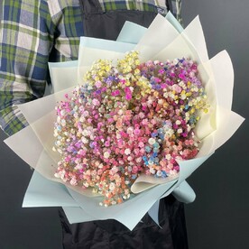 Букет Радужная Гипсофила