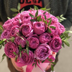 Коробочка Мисти Баблс