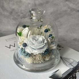 Гликсия, Нигелла сухоцвет, Гортензия стабилизированная пучок, Озотамнус стабилизированный пучок, Роза стабилизированная, Мох стабилизированный, Аспарагус, Лен сухоцвет, Хэппи флауер, Сорго сухоцвет, Стеклянная колба, Стильная упаковка, Инструкция по уходу