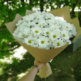 Букет белых хризантем