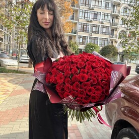 101 Бархатная Бордовая Роза