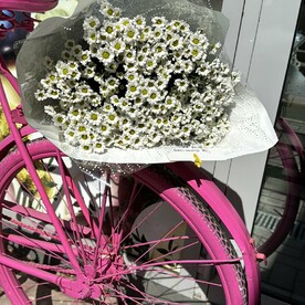 Ромашки такие ромашки