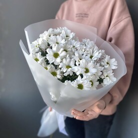 Монобукет ромашек