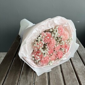 Гвоздики в гипсофиле