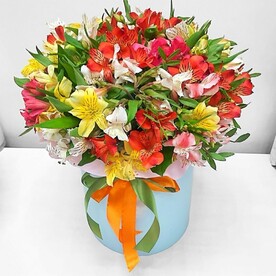 Альстромерия в шляпной коробке