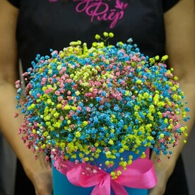 Коробка с радужной гипсофилой