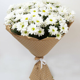 Ромашковое поле