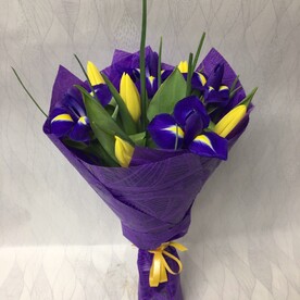 Поднебесье