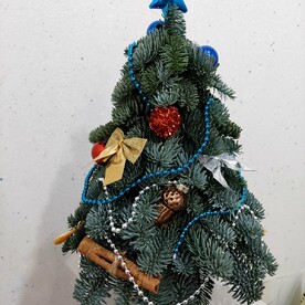 Ель новогодняя