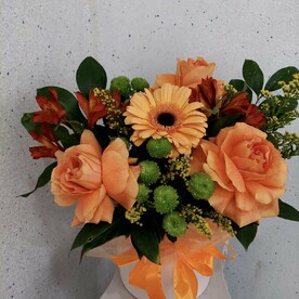 Коробка яркая