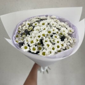 Ромашковое поле