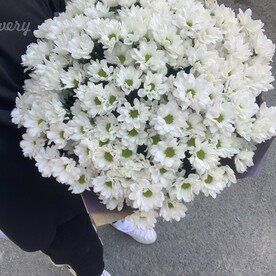 Белоснежный букет хризантем