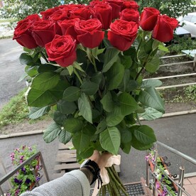 Элитные Розы