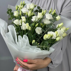 Эустома Белый Лизиантус