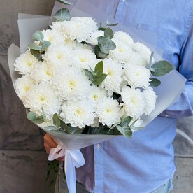 5 Воздушных Кустовых Хризантем