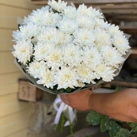 Белое облако хризантем