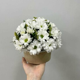 Композиция "Ромашковое блаженство"