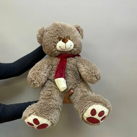 Плюшевый медведь