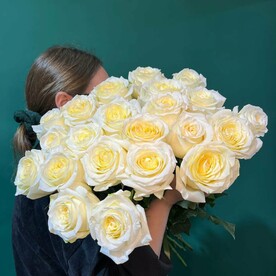 Роза "Кенди Лайт"