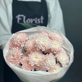 Хризантема персик