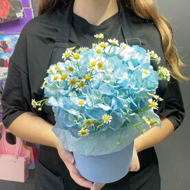 Гортензия и матрикария