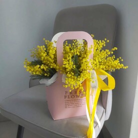 Мимоза в сумочке