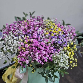 Коробочка с гипсофилой