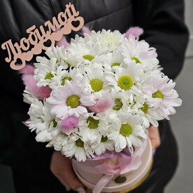 Коробочка с ромашковой хризантемой