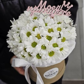 Коробочка с ромашковой хризантемой "моей принцессе"
