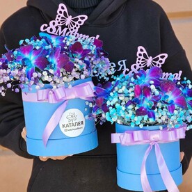 Коробочка с дендробиумом