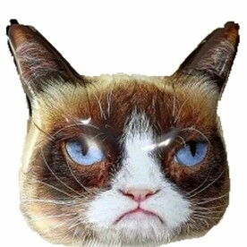 Воздушный фольгированный шар с гелием Угрюмый кот