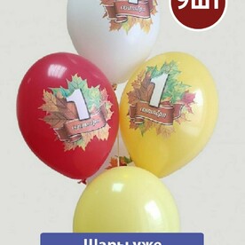 Воздушные шары с гелием День знаний 9шт