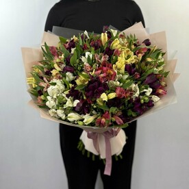 Огромный Букет из 51 Альстромерий MIX