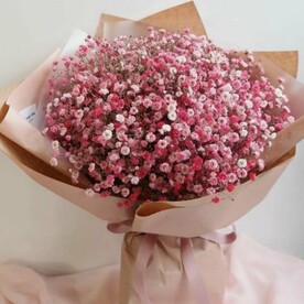 Букет розовых гипсофил