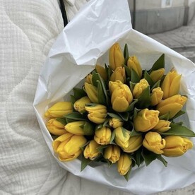 Желтые тюльпаны