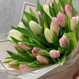 Букет 25 тюльпанов