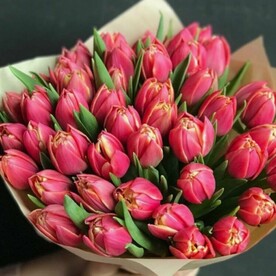 Букет тюльпанов 31 шт