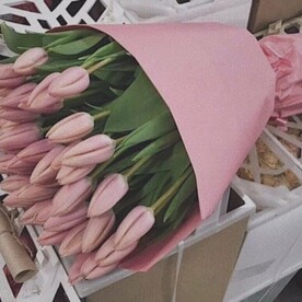 Букет весенних тюльпанов 51 шт