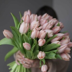Букет нежных тюльпанов 77 шт