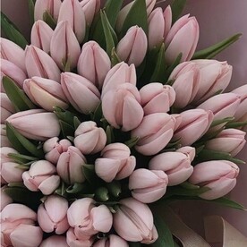 Букет розовых тюльпанов