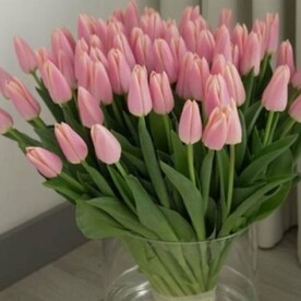 Букет из 67 розовых тюльпанов