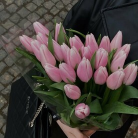 Розовые тюльпаны