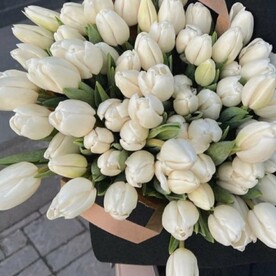 51 белый тюльпан в букете