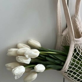 11 белых тюльпанов