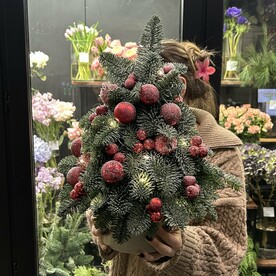 Новогодняя композиция из живой ели 00