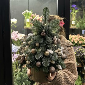 Новогодняя композиция из живой ели 01